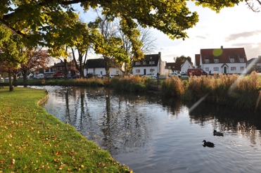 A view of white houses on Histon Village Green from across the river