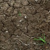 Soil, stones and turf